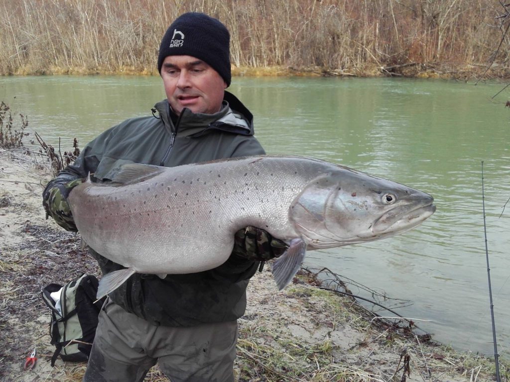 Režim sulca na Savi Bohinjki – Ribiška družina Bled